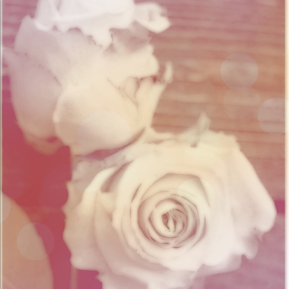 Meet your Posher, K. - Picture 1 of 1